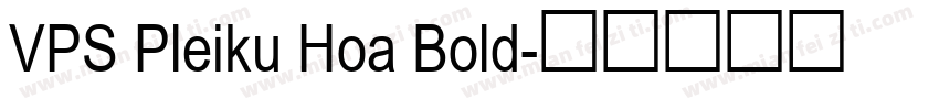 VPS Pleiku Hoa Bold字体转换